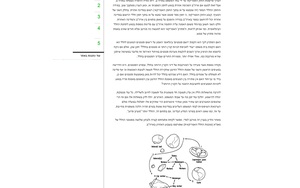 דה מרקר — רישום ואכיפת זכויות פטנט בחלל